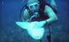 Maximum Scuba Coupons Houston, Texas Deals