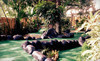Jungle River Mini Golf Coupons Aiea, Hawaii Deals