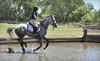 Byron Equestrian Coupons Livermore, California Deals