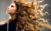 Park 51 Salon Coupons Charlotte, North Carolina Deals