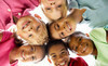 Move Your Body Kidz Klub, Inc. Coupons Jamaica, New York Deals