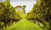 Philip Carter Winery Coupons Hume, Virginia Deals