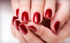 Nails by Lois Salon and Day Spa Coupons Amityville, New York Deals