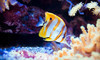 Fish Emporium Plus Coupons Hoboken, New Jersey Deals