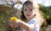Jencks Photography Coupons  Deals