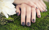 De La Mer Salon & Spa Coupons Bellmore, New York Deals