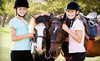 Raintree Equestrian Center Coupons Olive Branch, Mississippi Deals