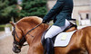 Edinger Farm Coupons Rehoboth, Massachusetts Deals