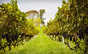 Philip Carter Winery Coupons Hume, Virginia Deals