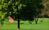 Olmsted Parks Golf Courses Coupons Buffalo, New York Deals