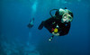 Scuba Haven Coupons Tampa, Florida Deals