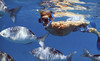 La Jolla Dive & Snorkel Coupons San Diego, California Deals