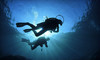 Dolphin Scuba Center & Swim School Coupons Sacramento, California Deals