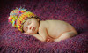 Heather Lussier Photography Coupons Los Altos, California Deals