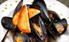 Sanctuary Ultra Lounge and Restaurant Coupons Livermore, California Deals