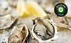 Fat Cat Wine Bar Coupons Toronto, Ontario Deals