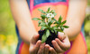 Garden Gate Nursery Coupons Hartland, Wisconsin Deals