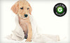 Barka Lounge Coupons Concord, California Deals