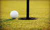 Wapsipinicon Country Club Coupons Anamosa, Iowa Deals