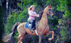 Jansal Saddlebreds LLC Coupons Mocksville, North Carolina Deals