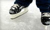 Patterson Ice Center Coupons Grand Rapids, Michigan Deals