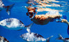 Island Magic Catamaran Coupons Honolulu, Hawaii Deals