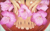 Avanti Hair Salon Coupons White Plains, New York Deals