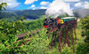 Boone & Scenic Valley Railroad & Museum Coupons Boone, Iowa Deals