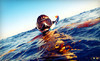 Custom Scuba Coupons Marina Del Rey, California Deals