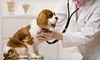 Valley View Pet Health Center Coupons Farmers Branch, Texas Deals