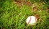 Centerfield Baseball & Softball Academy Coupons Plano, Texas Deals