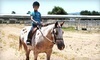 Jeanette Arnaout Training Coupons Gilroy, California Deals