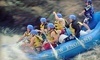 New England Outdoor Center Coupons Millinocket, Maine Deals