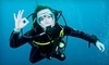 Adventure Diving Coupons Crystal River, Florida Deals