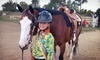 Madison Horse Connection Coupons Madison, Wisconsin Deals