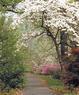 Beall's Nursery And Landscaping Coupons Plum, PA Deals