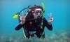 Squalo Divers Coupons North Miami Beach, Florida Deals