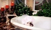The Spaw Coupons Tustin, California Deals