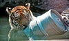 Blank Park Zoo Coupons Des Moines, Iowa Deals