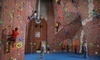 Adventure Rock Indoor Climbing Gym Coupons Pewaukee, Wisconsin Deals