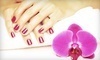 Peace Love Hair Salon and Boutique Coupons Wichita, Kansas Deals