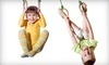 The U.S. Gymnastics Academy Coupons Eugene, Oregon Deals