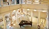Lightner Museum Coupons St Augustine, Florida Deals