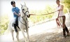 Luton Riding Academy Coupons Grosse Ile Township, Michigan Deals