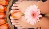 Red Hots Salon Coupons Tallahassee, Florida Deals