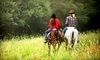 Horseplay Stables Coupons Middleboro, Massachusetts Deals