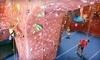ClimbX Coupons Huntington Beach, California Deals