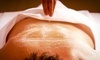Mist Of Eden Coupons Palm Beach Gardens, Florida Deals