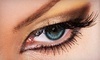 The Lash Lounge Coupons Colleyville, Texas Deals