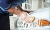 The Detailing Pros Coupons Boise, Idaho Deals